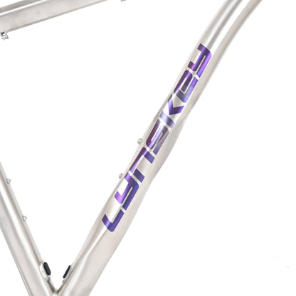 Ridgeline Single Speed Frame