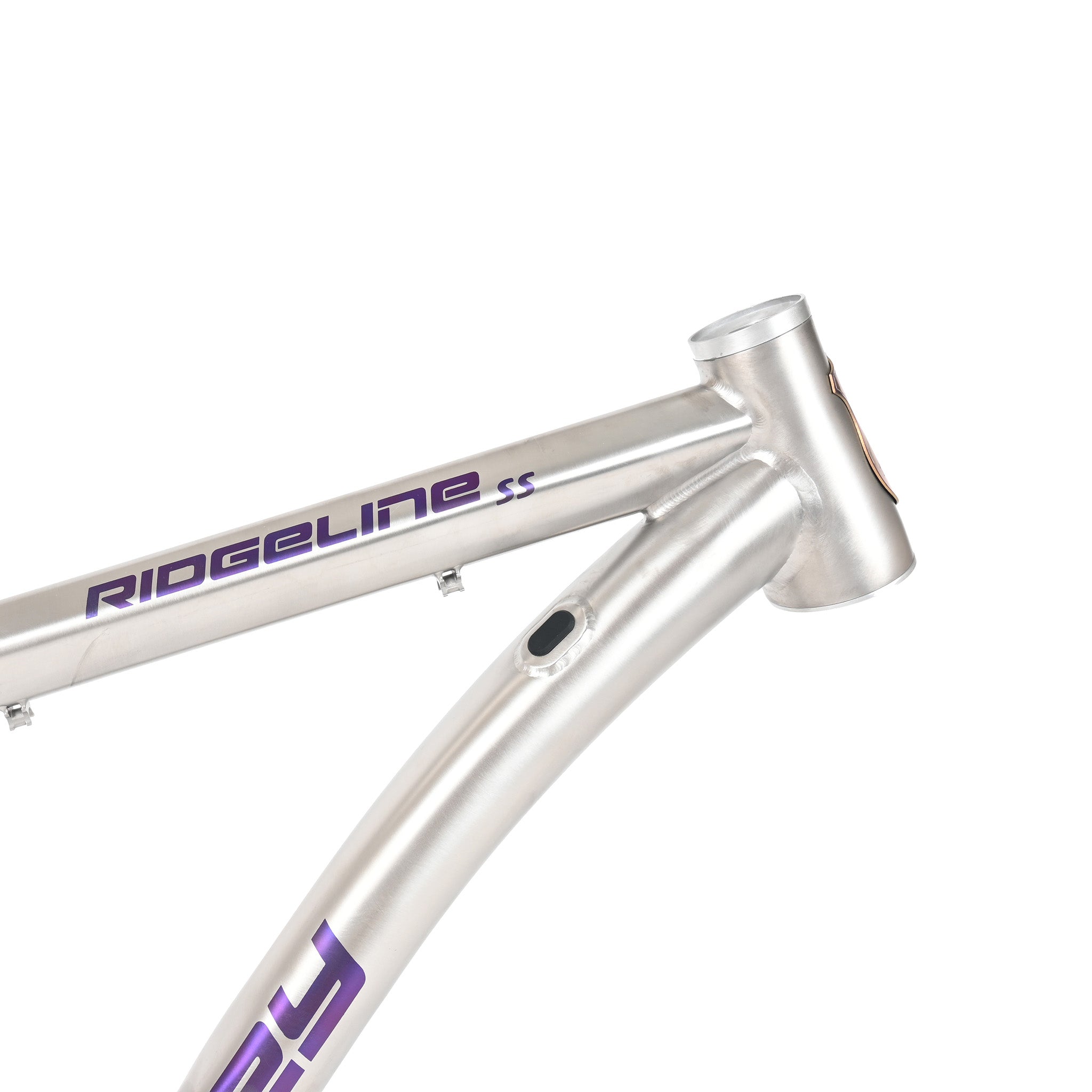 Ridgeline Single Speed Frame – Lynskey Performance