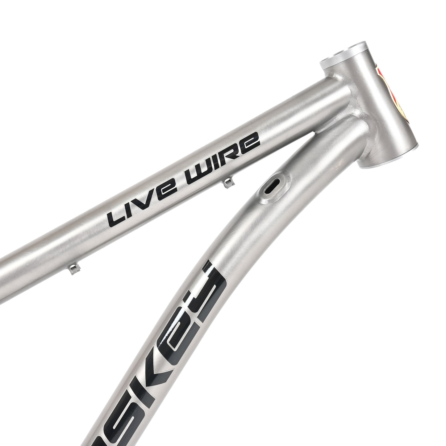 2024 Live Wire Mountain Frame