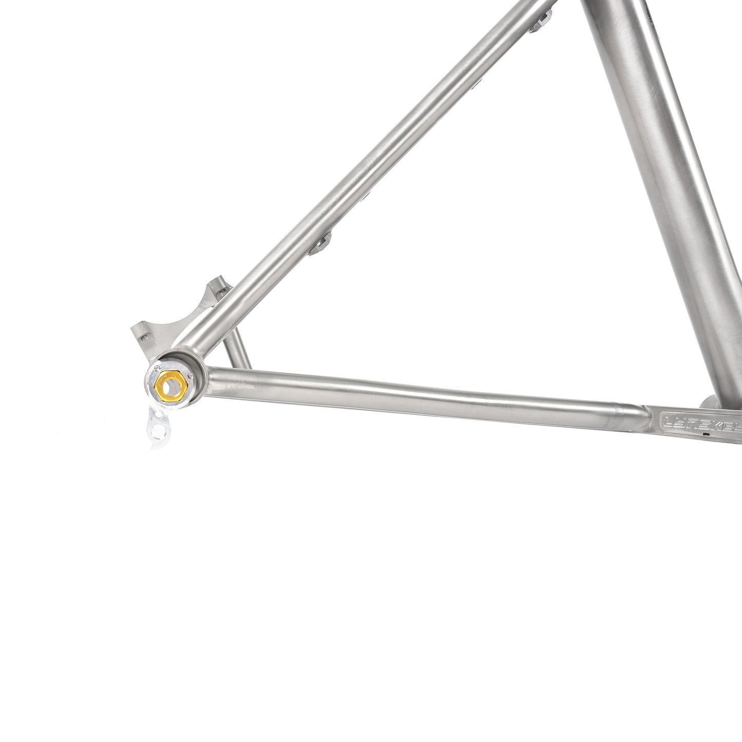 2024 Live Wire Mountain Frame