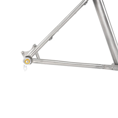 2024 Live Wire Mountain Frame