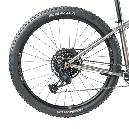 2024 Live Wire Complete